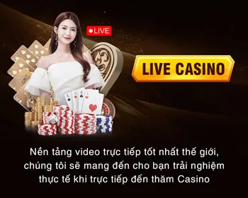 Ứng dụng VNQ8 trên điện thoại